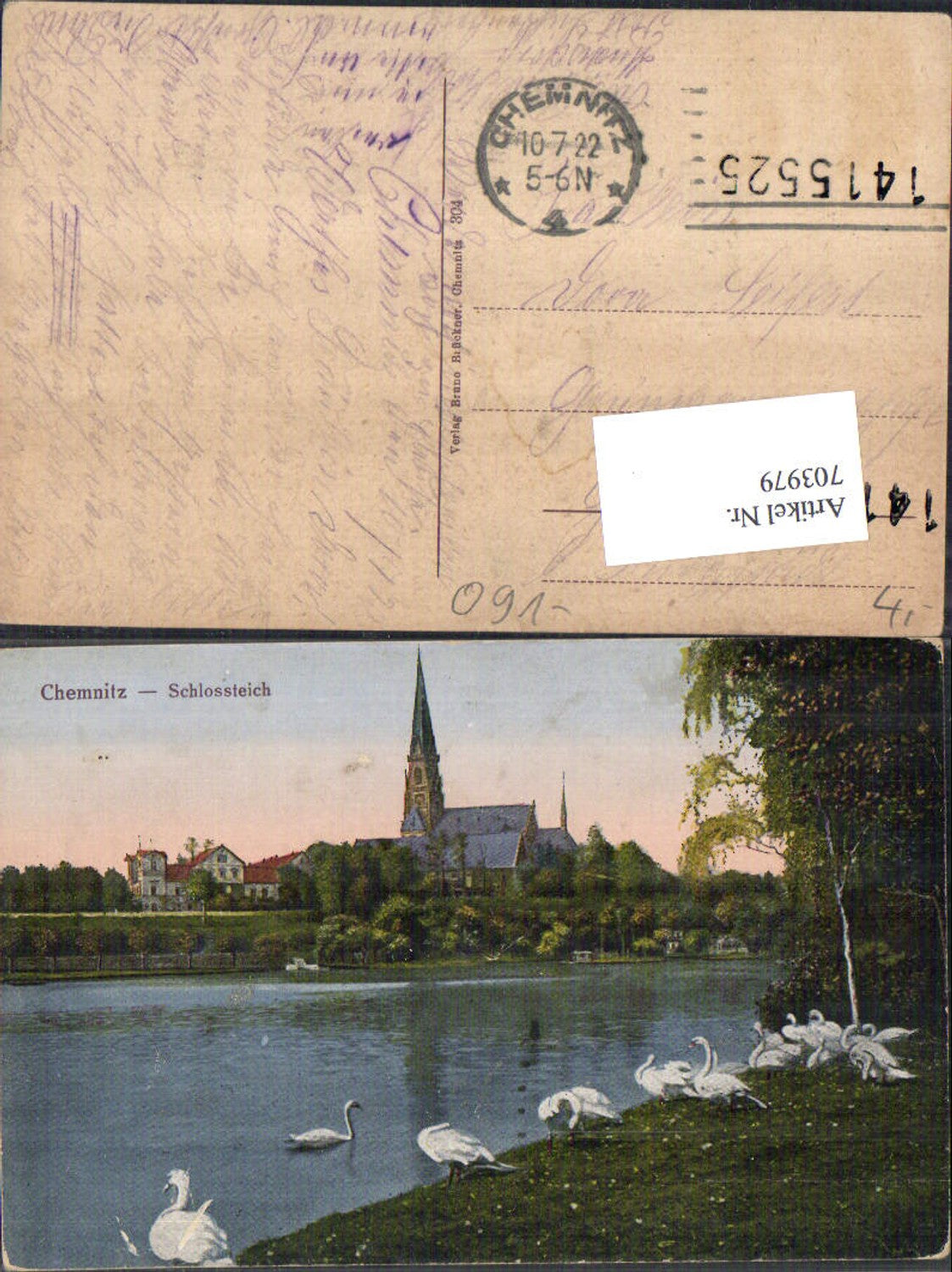 703979 Chemnitz Schloßteich Schwäne Schwan