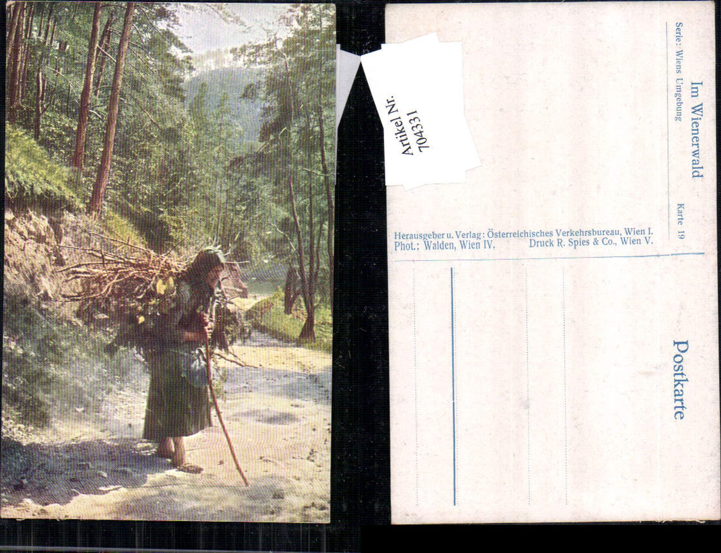 704331 Wienerwald Frau trägt Holz Wien Umgebung Typen