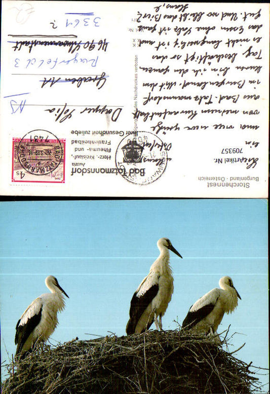 709357 Bad Tatzmannsdorf Storchennest Storch Störche