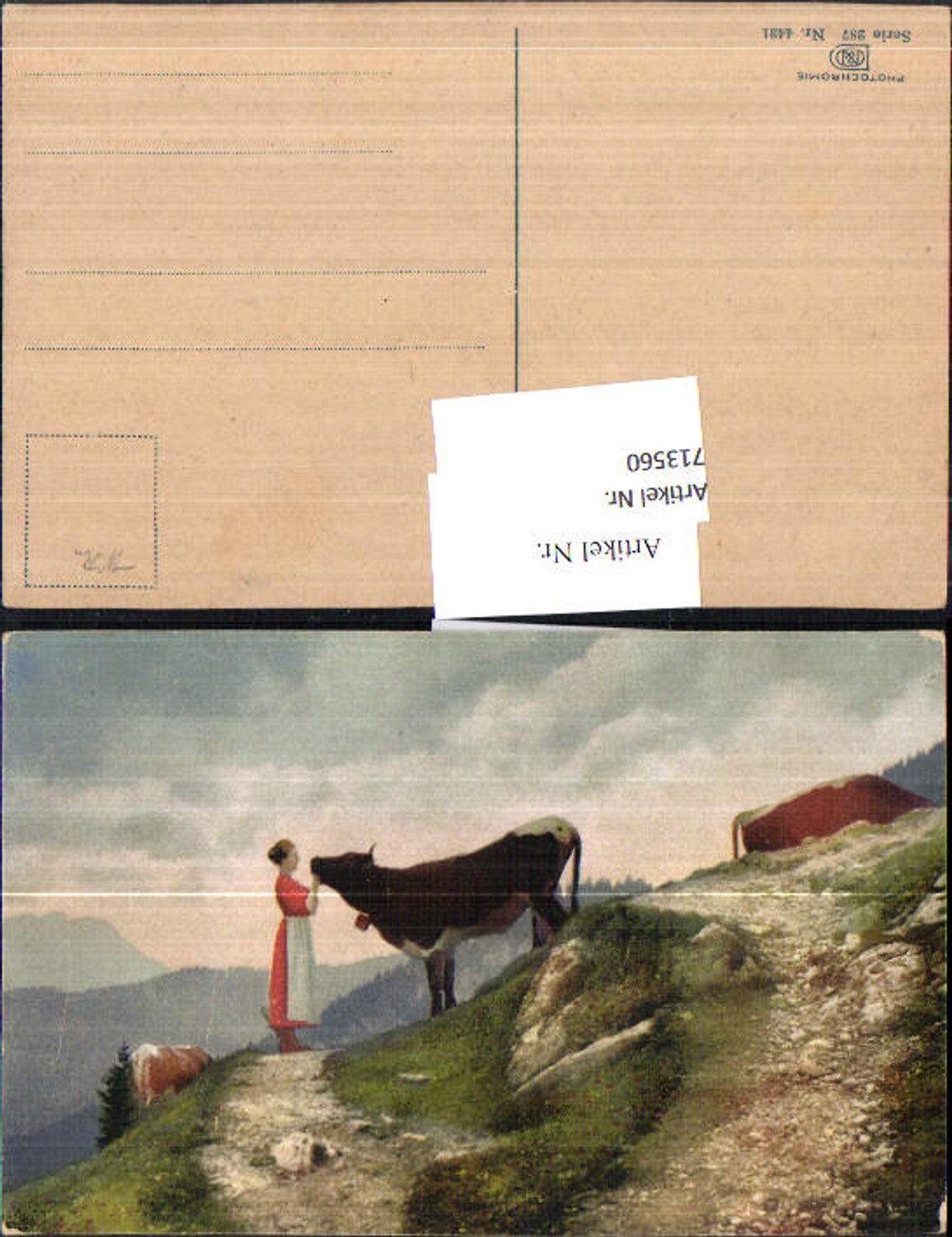 713560 Künstler AK Photochromie Nenke & Ostermaier 287-4421 Kuh Bäuerin
