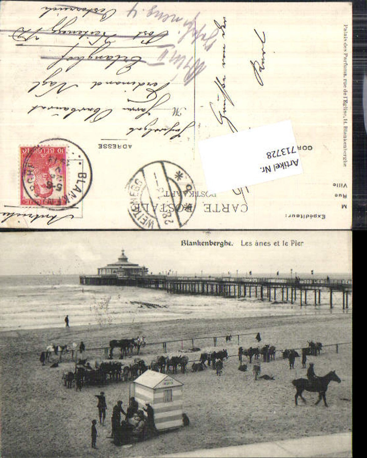 713728 Blankenberghe Les anes et le Pier Pferd Strand Irrläufer Erlanghof Weitenegg