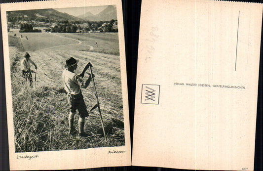 716489 Verlag Walter Niessen Gräfelfing München Erntezeit Landwirtschaft Ernte