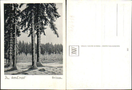 716498 Verlag Walter Niessen Gräfelfing München Hochwald Bäume Winter Schnee