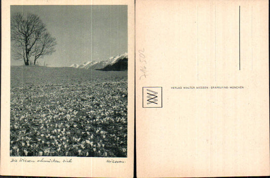716502 Verlag Walter Niessen Gräfelfing München Wiesen Blumen