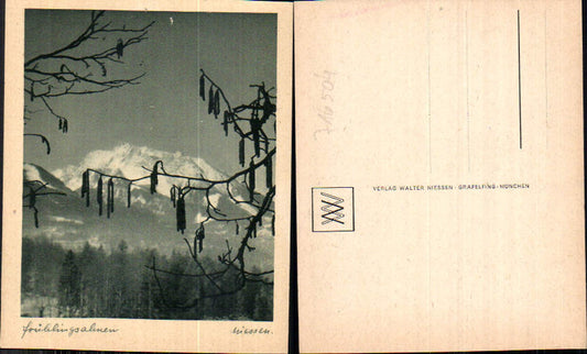 716504 Verlag Walter Niessen Gräfelfing München Frühling