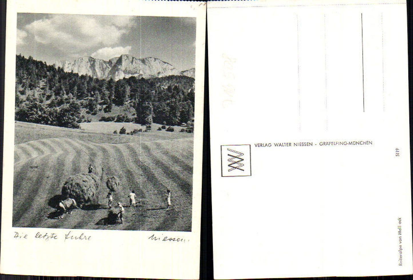 716508 Walter Niessen Gräfelfing München Reiteralpe Ramsau Berchtesgaden Ernte