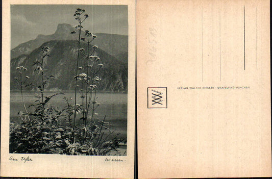 716513 Verlag Walter Niessen Gräfelfing München Ufer Blumen