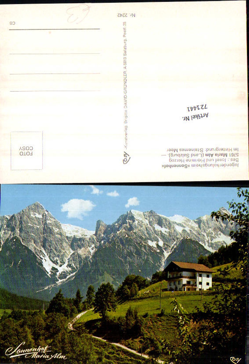 Alte Ansichtskarte – Old Postcard