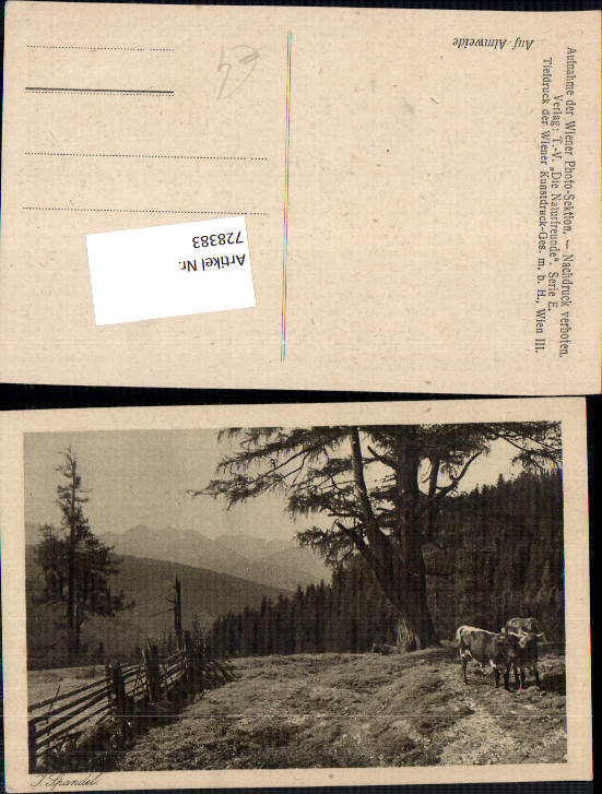 alte Ansichtskarte