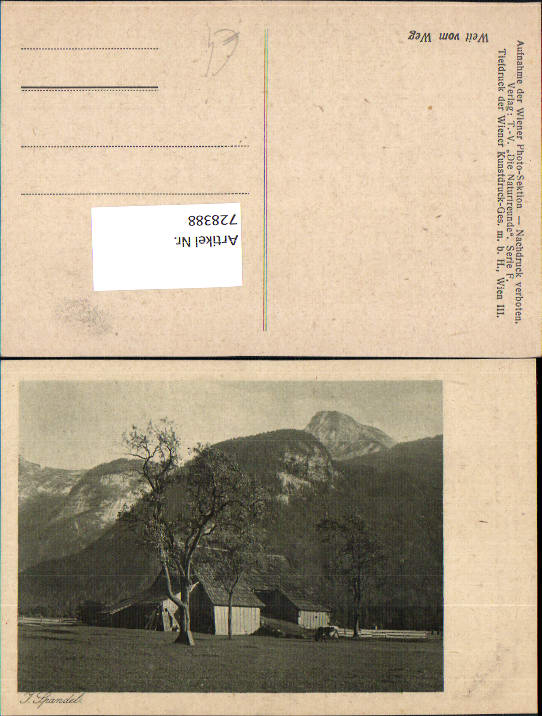 alte Ansichtskarte