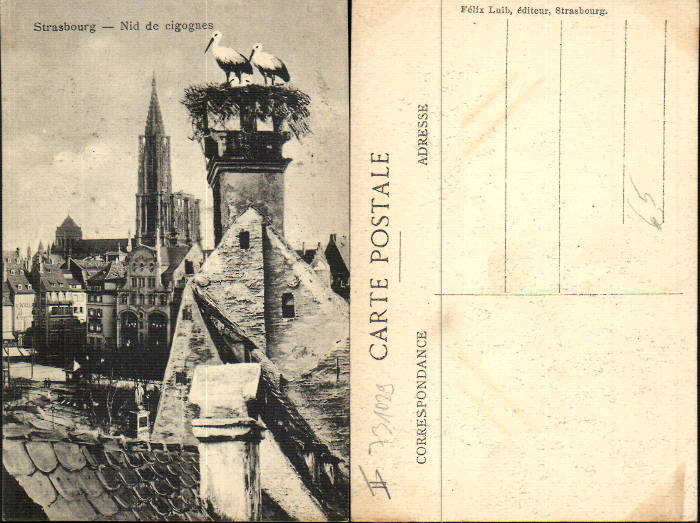 alte Ansichtskarte