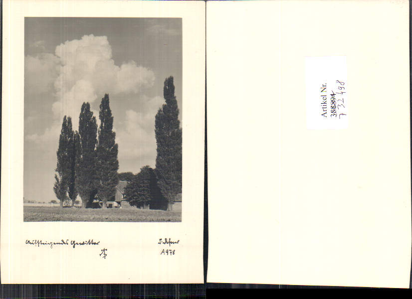 alte Ansichtskarte