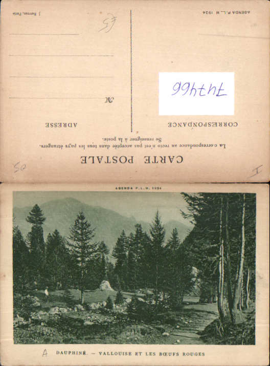 alte Ansichtskarte