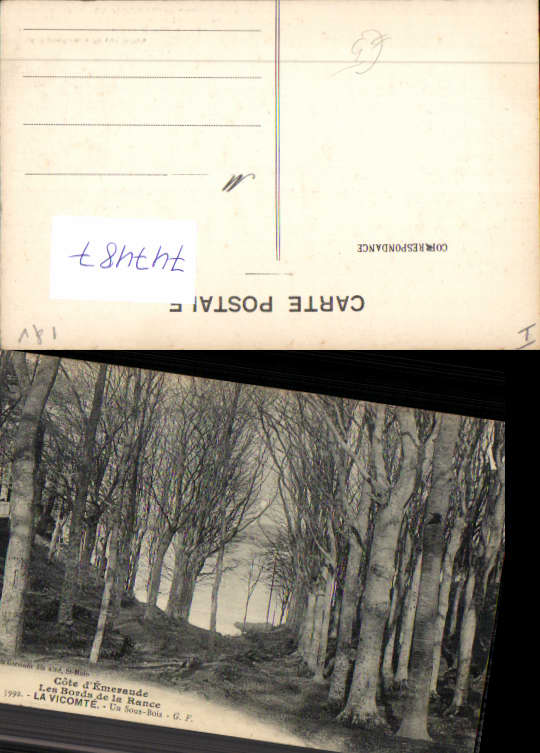 alte Ansichtskarte