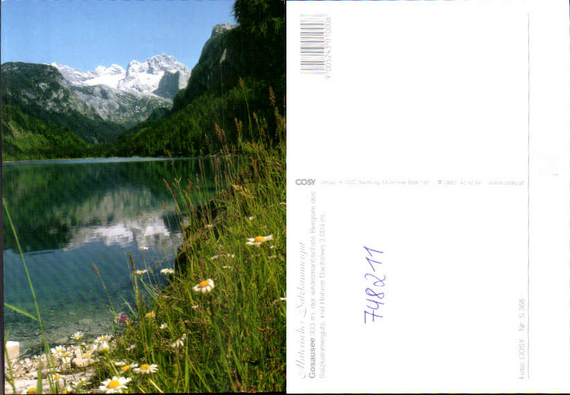 alte Ansichtskarte