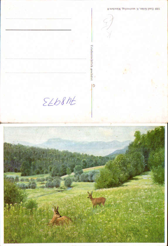 alte Ansichtskarte