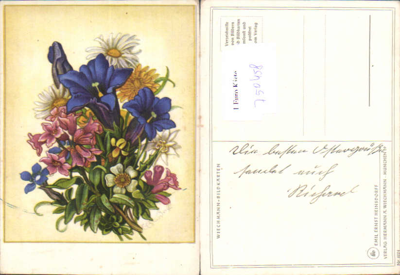 alte Ansichtskarte