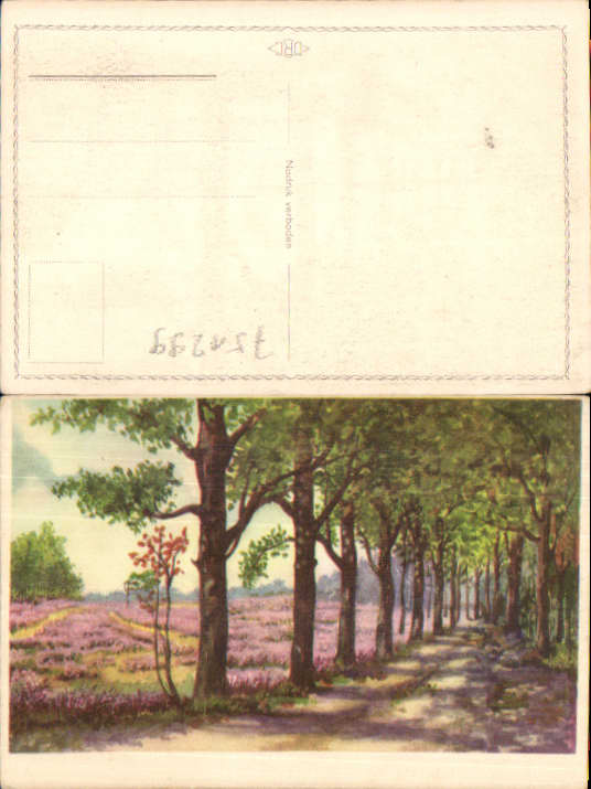 alte Ansichtskarte