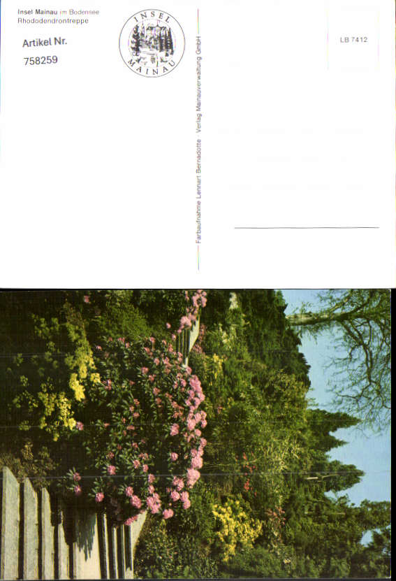 alte Ansichtskarte