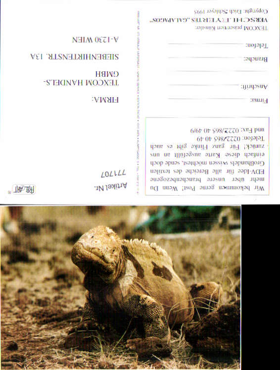 alte Ansichtskarte
