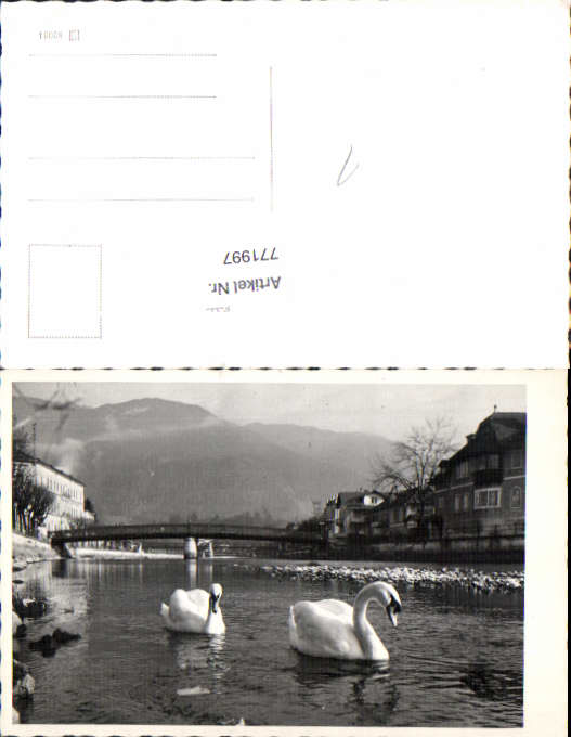 alte Ansichtskarte